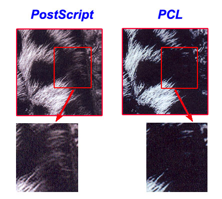 Sự khác biệt giữa PCL và PostScript
